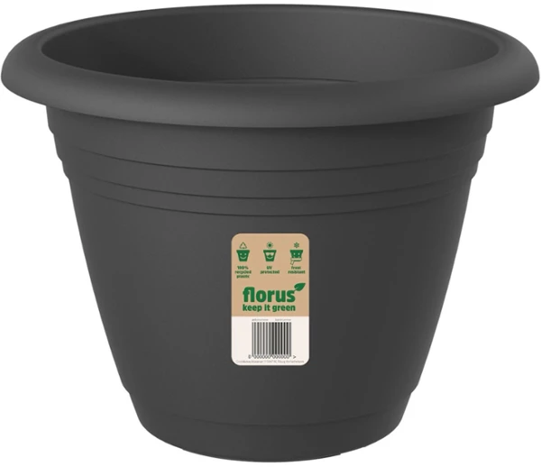 Florus Mediteran campana — 19 #4f5155